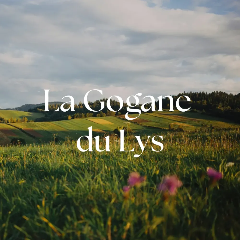 la gogane du lys